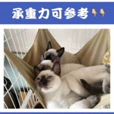 Кошачья подвесная клетка с кошачьим гамаком, висящим гнездом, кошка Осень тысяча висящих кошачьих гнездо