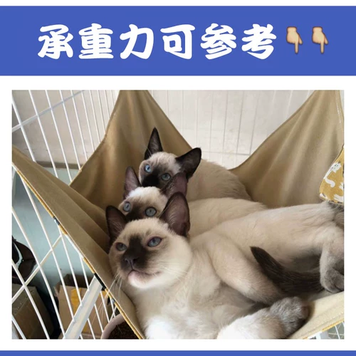 Кошачья подвесная клетка с кошачьим гамаком, висящим гнездом, кошка Осень тысяча висящих кошачьих гнездо