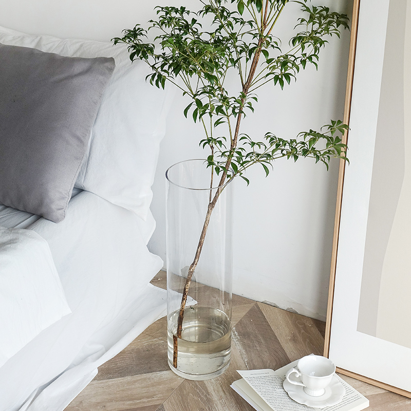 Horse drunk wood vase floor-to-ceiling straight large glass transparent Nordic net red ins wind flower arrangement hydroponic hydroponic flower arrangement