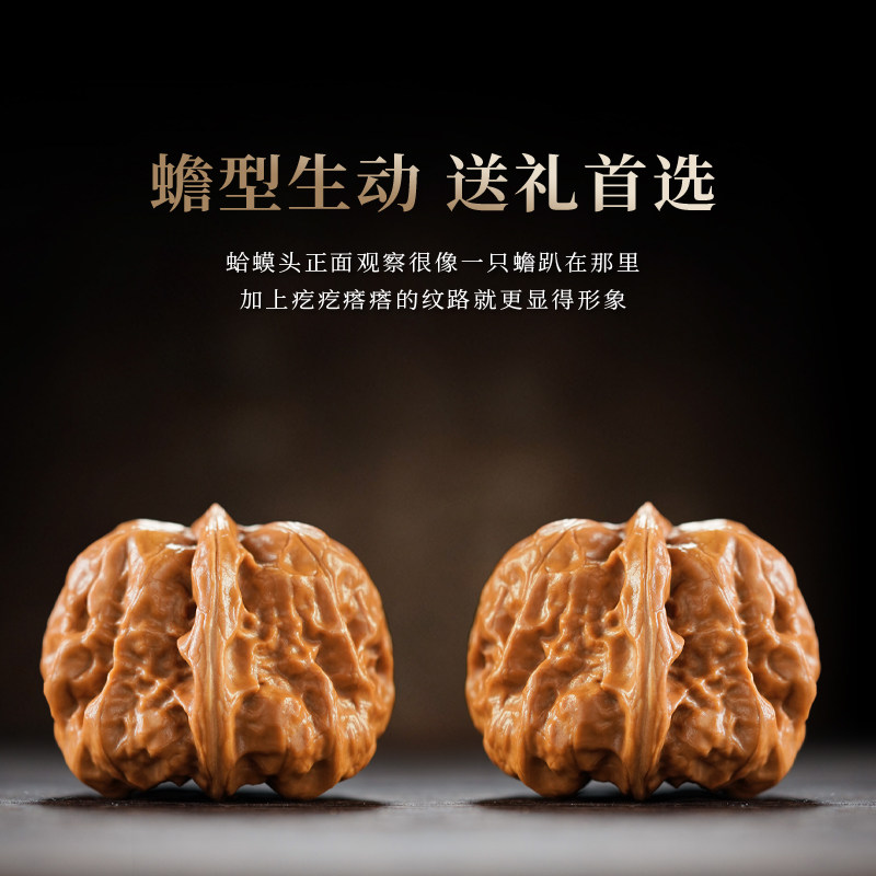 开背蛤蟆头文玩核桃| 延庆老树金蟾收藏级，网红爆款，一物一拍精品
