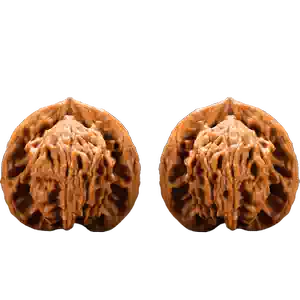 正奔三棱核桃- Top 500件正奔三棱核桃- 2025年12月更新- Taobao