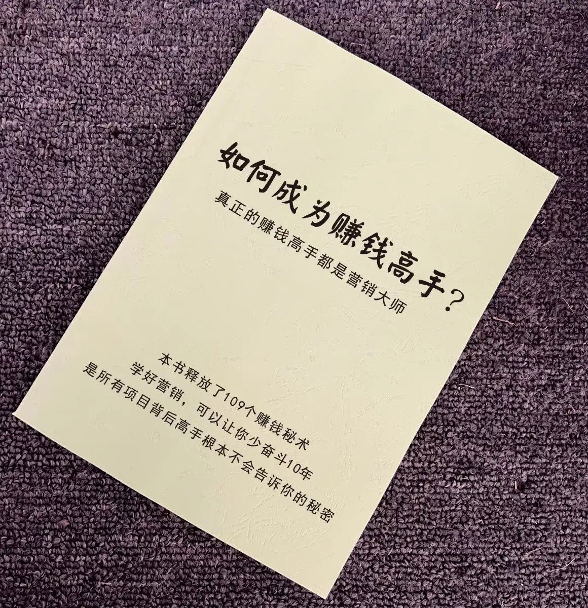 《如何成为赚钱高手》学好营销可以让你少奋斗10年成功秘籍，如何成为赚钱高手pdf电子版资料下载在线阅读