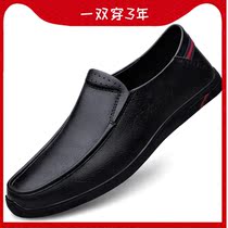 2022 spring new casual leather shoes mens leather calf leather soft bottom soft leather bean shoes breathable mens shoes damp 100 hitch