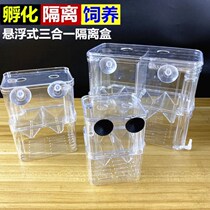 Small fish tank isolation box ornamental fish breeding box guppy spawning room hatching box two-in-one isolation betta fish tank