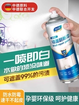 China and Germany R&D white wall self-spray emulsion paint Recarrosished Wall Repair Home Tonic Wall Repair Cream Decontamination Theorizer