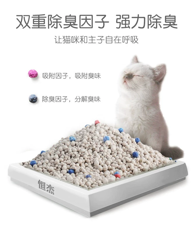 Gói 10Lx2 bentonite kháng khuẩn gói mèo 20kg - Cat / Dog Beauty & Cleaning Supplies lược chải lông