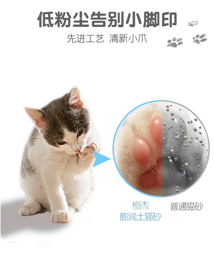 Gói 10Lx2 bentonite kháng khuẩn gói mèo 20kg - Cat / Dog Beauty & Cleaning Supplies 	găng tay chải lông thú cưng	