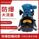 Взрыв FB600S -Проницаемый перистальтический насос Химический эксперимент Многоканальный взрыв -воздушный насос Промышленное насос с большим потоком управления инвертором потока