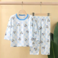 Blue Caved Bear Tiansi