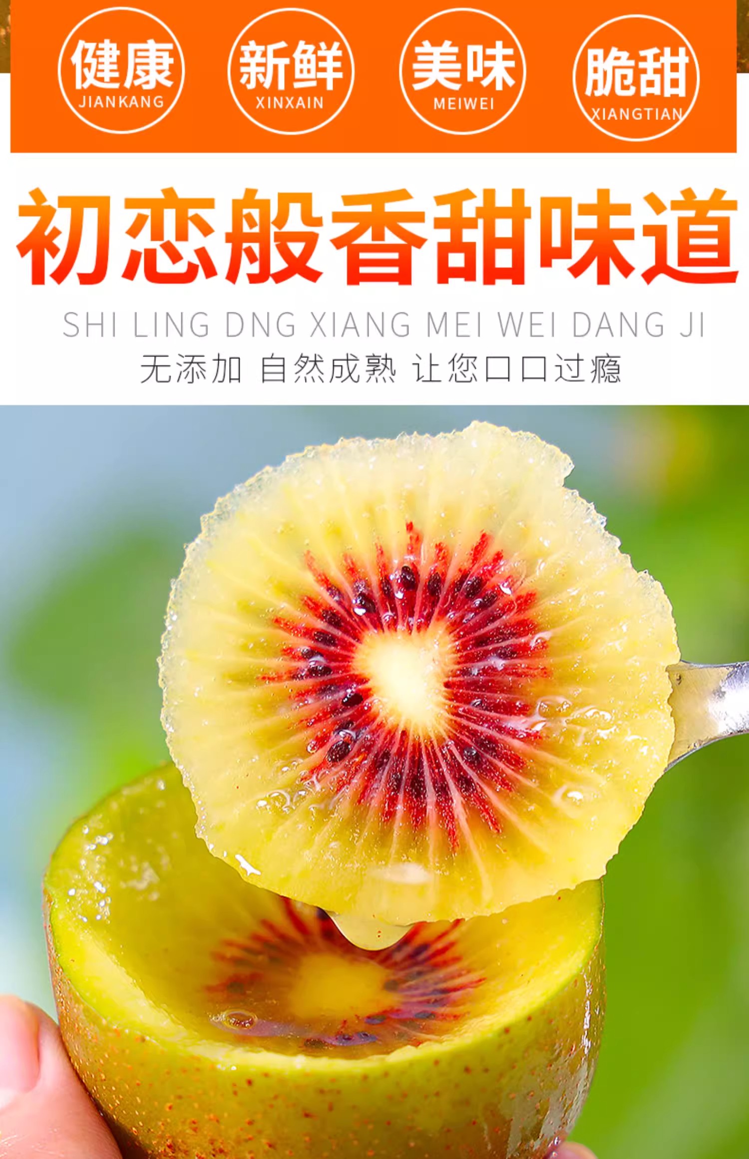 O1CN01cy5E7o1PkAoB2H4bT_!!2212289861878-0-scmitem176000.jpg