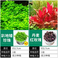 【Стерильная комбинация