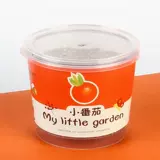 小豆丁DIY绿植小盆栽办公室桌面植物盆景儿童小礼物天气可爱的