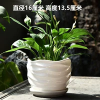 Единственная большая чистая белая волна