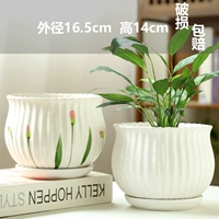 Две крупные комбинации порошка искусства