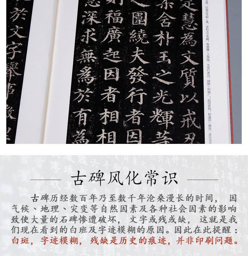 经典全集  颜真卿《多宝塔碑》字帖 中国历代原碑帖拓本正楷书法毛笔临摹初学者入门范本放大练字版教程正版美术书籍