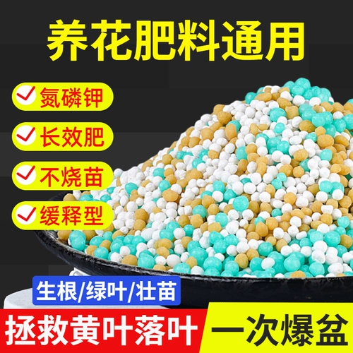 Медленное выражение удобрений жирное семейство Семейство Популярные Гранулы Растение Цветок Цветок Специальное соединение удобрение