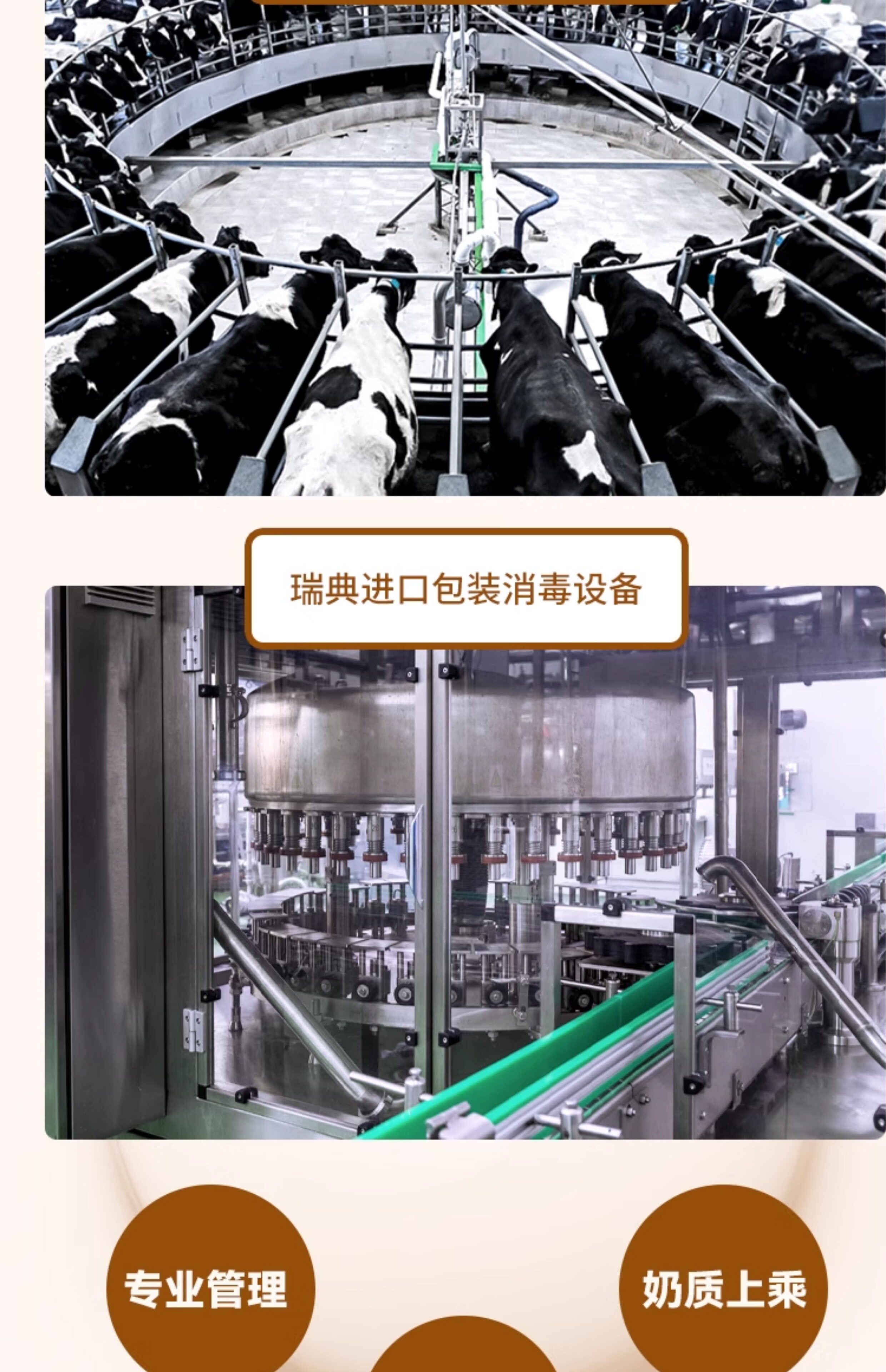 安享好物 安享B级纯奶-乍甸A2β纯牛奶 国标 