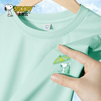 [Ice Silk Mesh丨Quick Dry Short Dry T] Aqua/S Ice Soda K