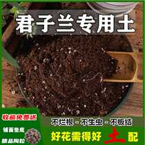 Jun Zlan Special Earth 5 Catty Dress Special Potted Nutrient Soil Acidic Sandy Soil Green Plant Cultivation Earth