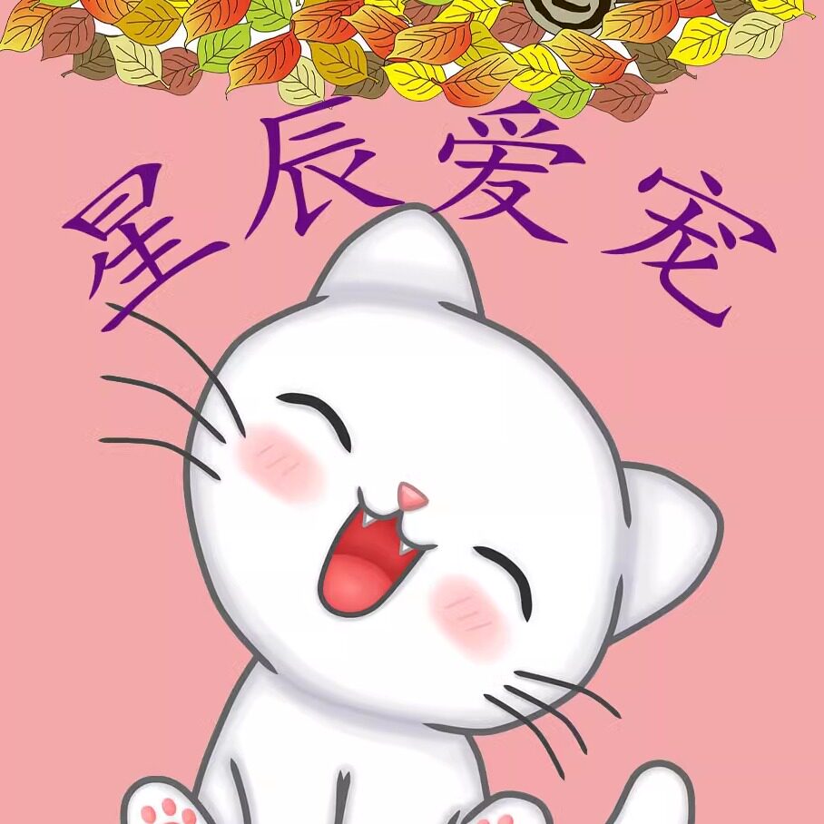 星辰爱宠塔