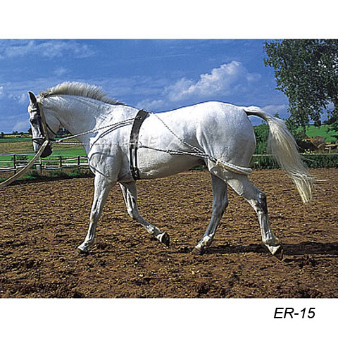 Imported Pessoa training reins, reins, horse gear, training lasso, backpack supplies, equestrian supplies, Hantu Equestrian