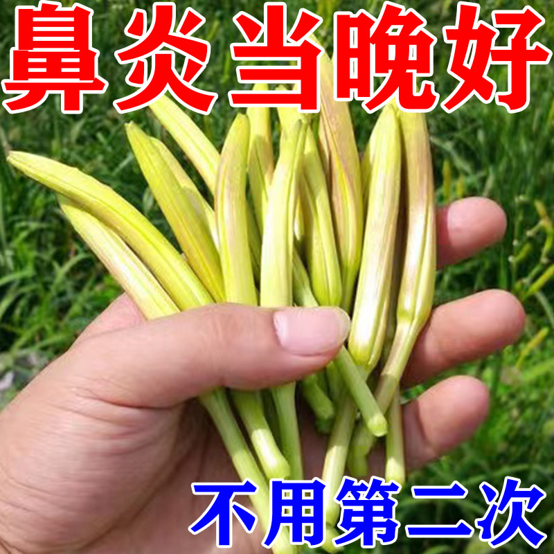 (Allergic Rhinitis Standing) rhinitis Rhinoplastica Rhinoplastica Hypertrophy for the special effective medicine for rhinitis-Taobao