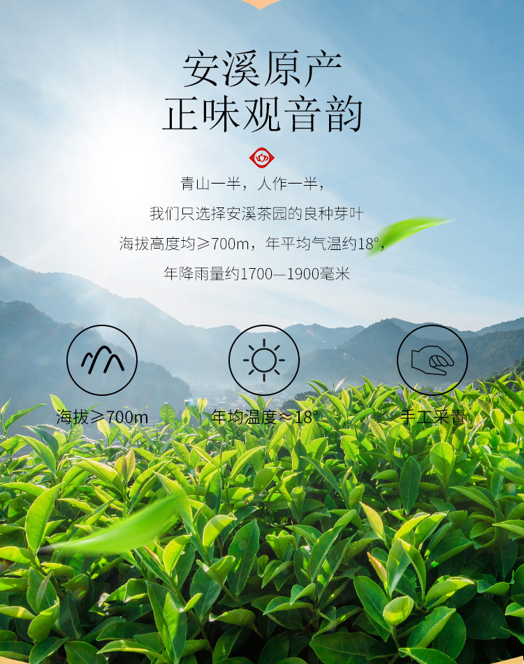 【天福天心茗茶】安溪铁观音乌龙茶400g