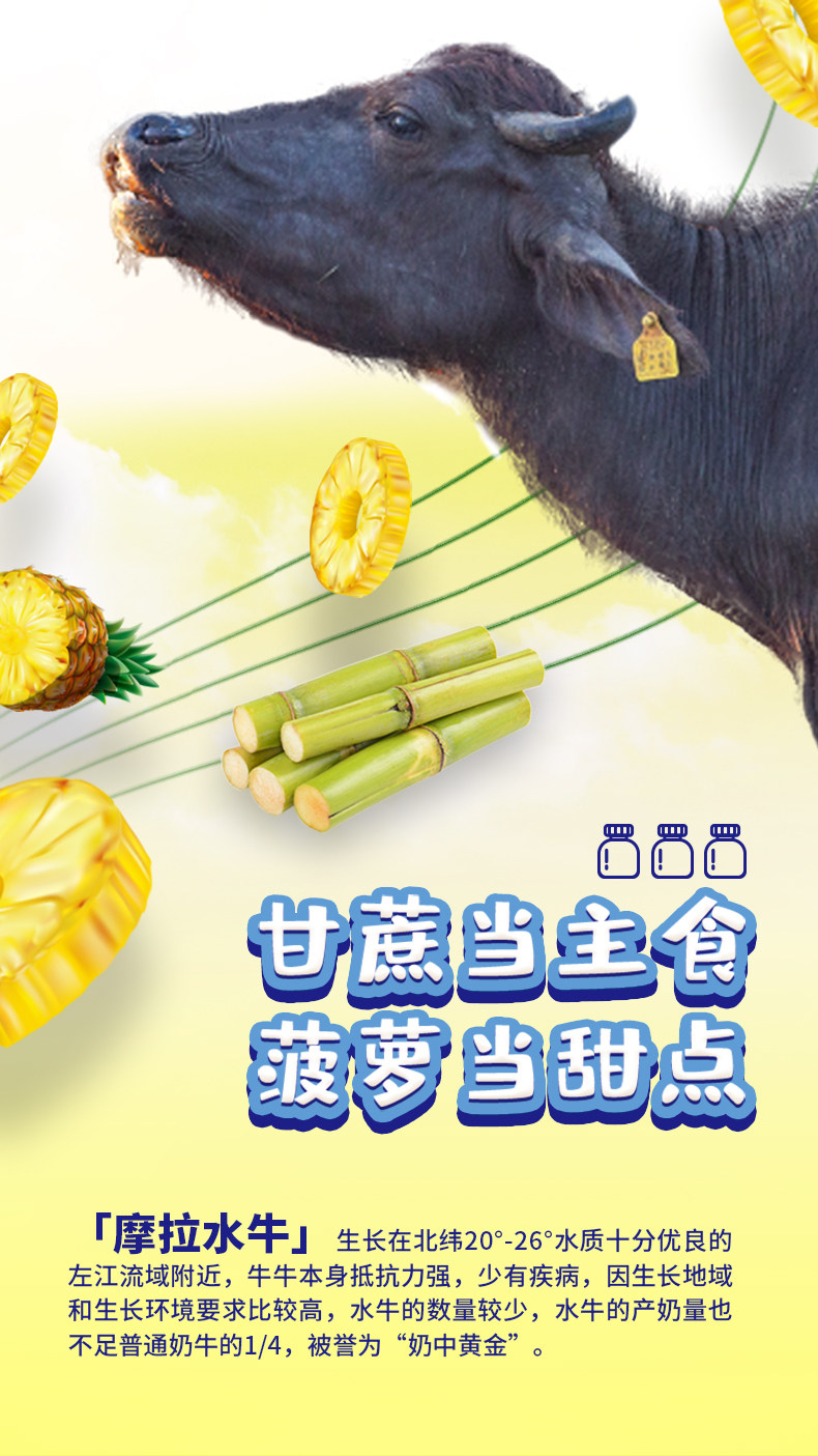 安享好物 安享D级纯奶-亿小瓶水牛高钙奶 国标