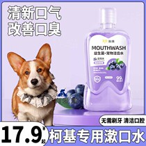 Corgi special dog probiotics edible mouthwash pet bad breath tooth cleaning water tooth cleaning artifact fresh breath