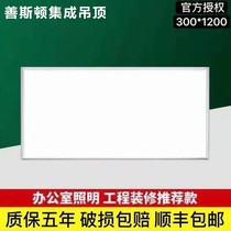 Integrated ceiling aluminum gusset board gypsum board LED flat panel light 300x1200 panel light 600x1200 engineering light