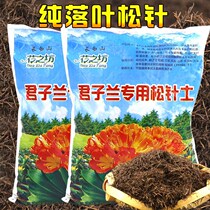 Orchid Monarch Orchid Cultivation Flower Special Earth Humus Green Lori Flowers Soil Fertiliser Nutritional Soil Universal Pine Needle Soil