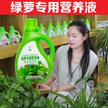 Green Lori Special Plant Nutrient Solution Home Potted Flowers Fertiliser Anti Yellow Leaf Hydrobacon Universal Foliar Fertilizer