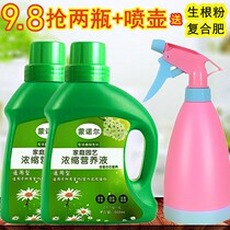 Plant nutrient solution universal earth hydropony greens green lori rich and rich bamboo hair chaeses multimeat potted fertiliser liquid manure