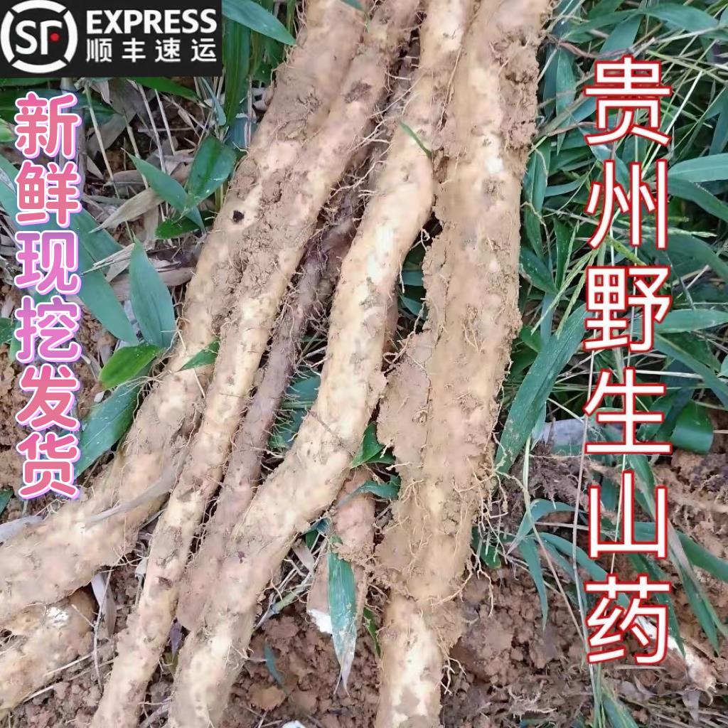Guizhou Countryside Special Production Deep Mountain Natural Growth Edible Fresh Wild Yam Mountain Vegetable Powder Glutinous Mountain Fries 500g-Taobao