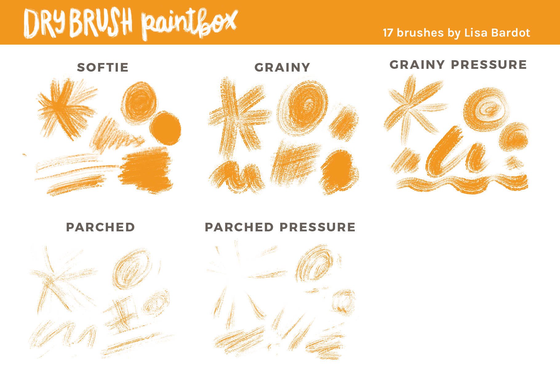 bardot-brush-dry-brush-paintbox-brushes-for-procre.jpg