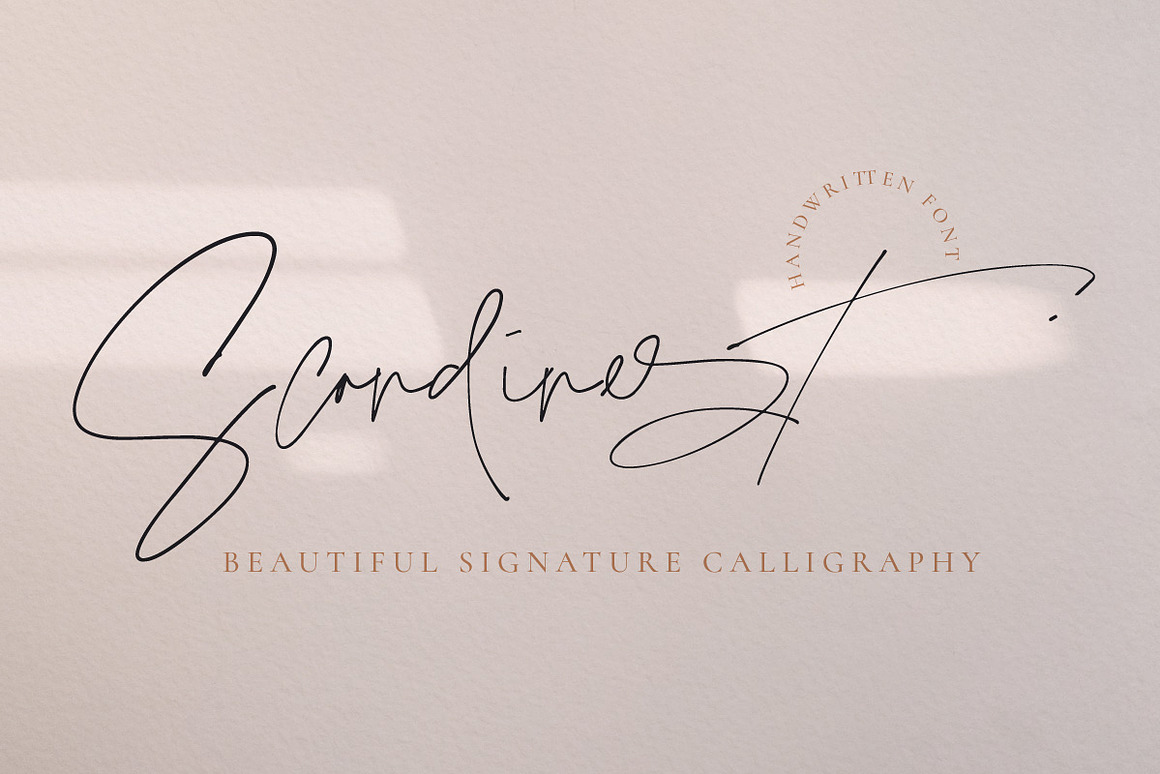 Scandinest - Signature With Ligature, a Script Fon.jpg