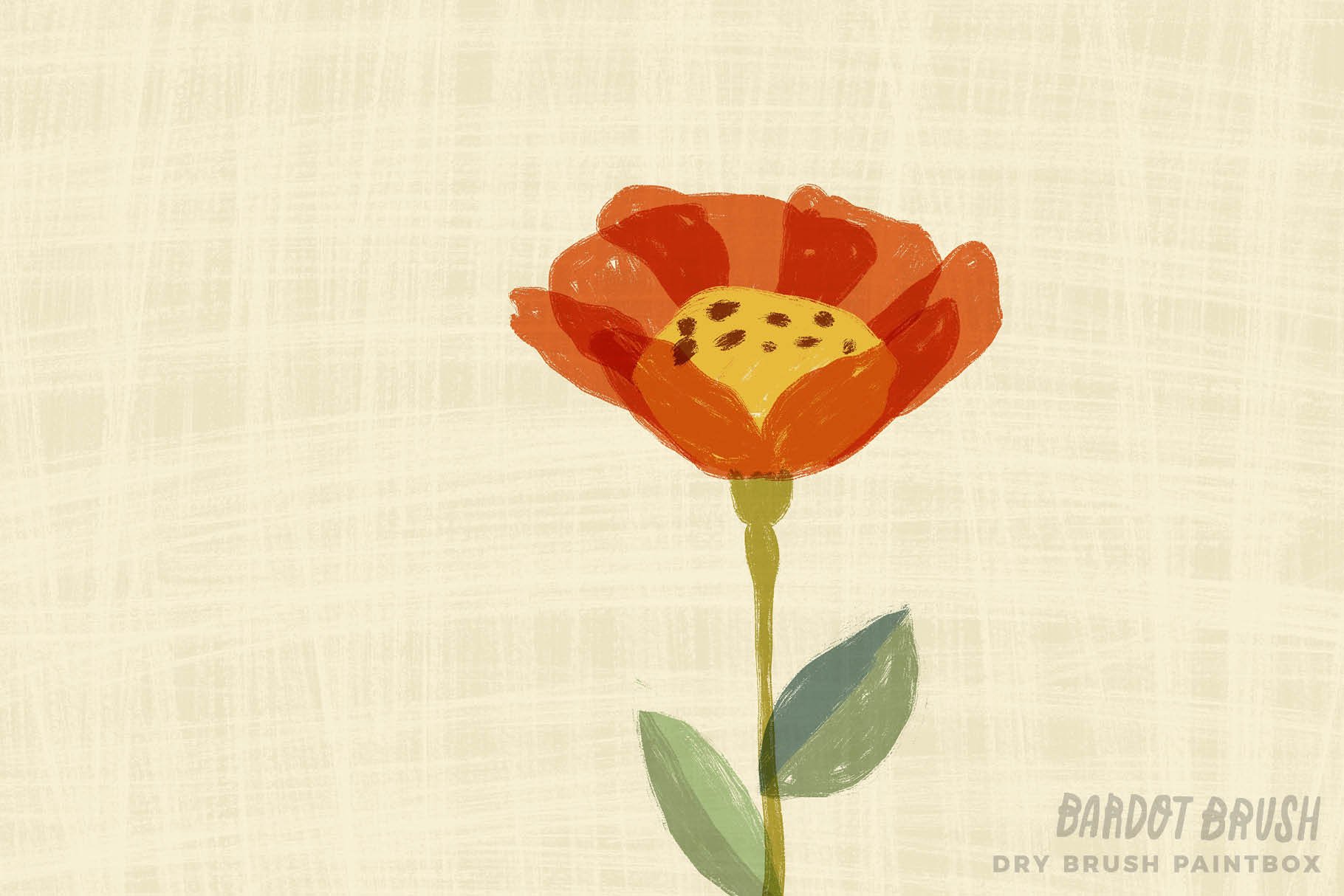 bardot-brush-dry-brush-paintbox-brushes-for-procre.jpg