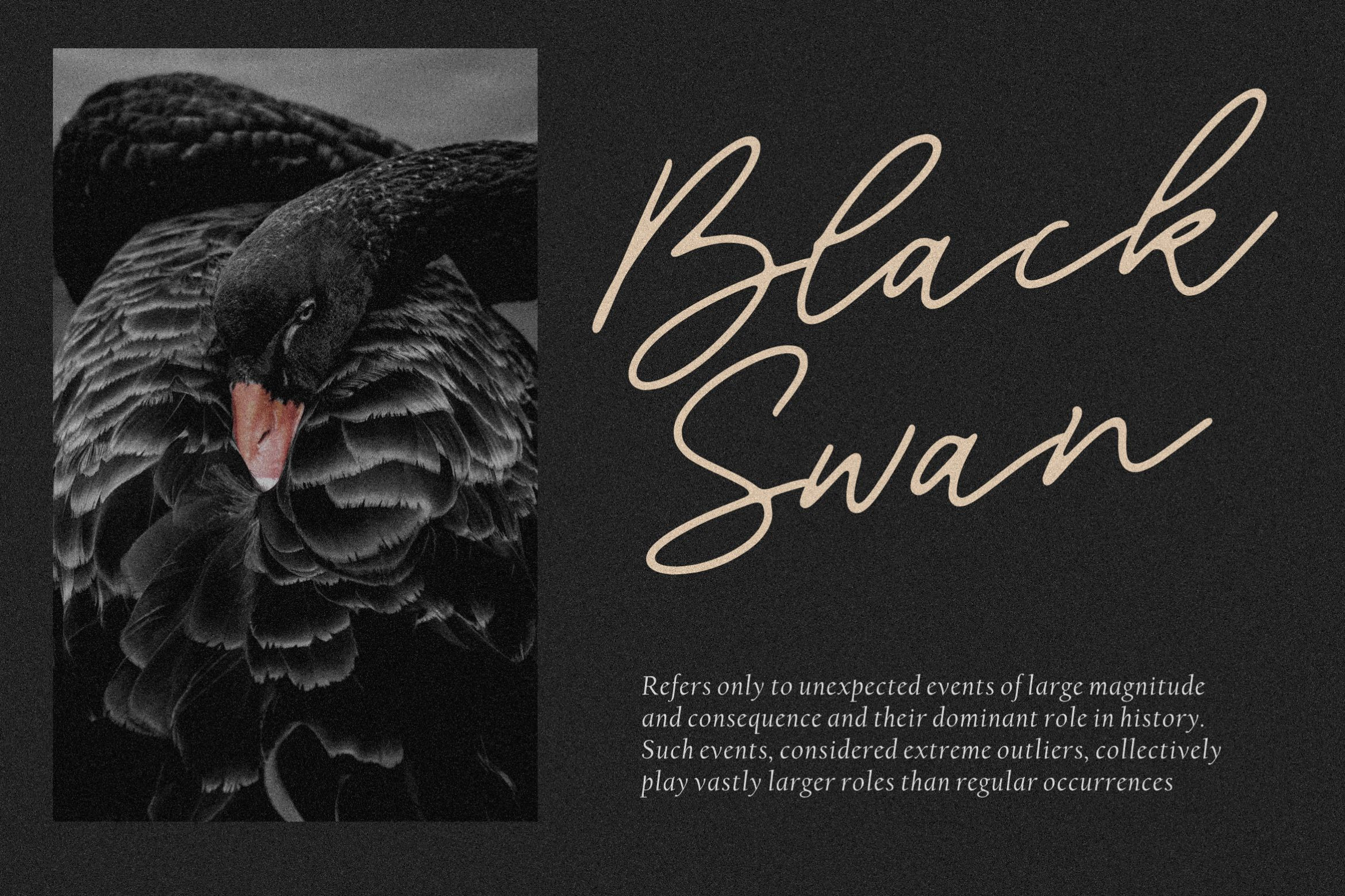 Blackswan - Monoline Signature Font, a Script Font.jpg