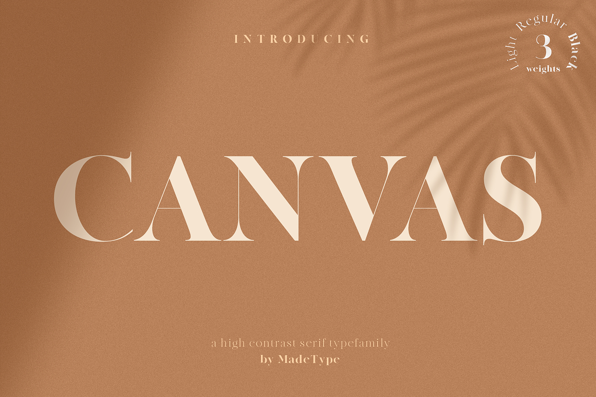 MADE Canvas, a Serif Font by MadeType Photo 1 of 1.jpg