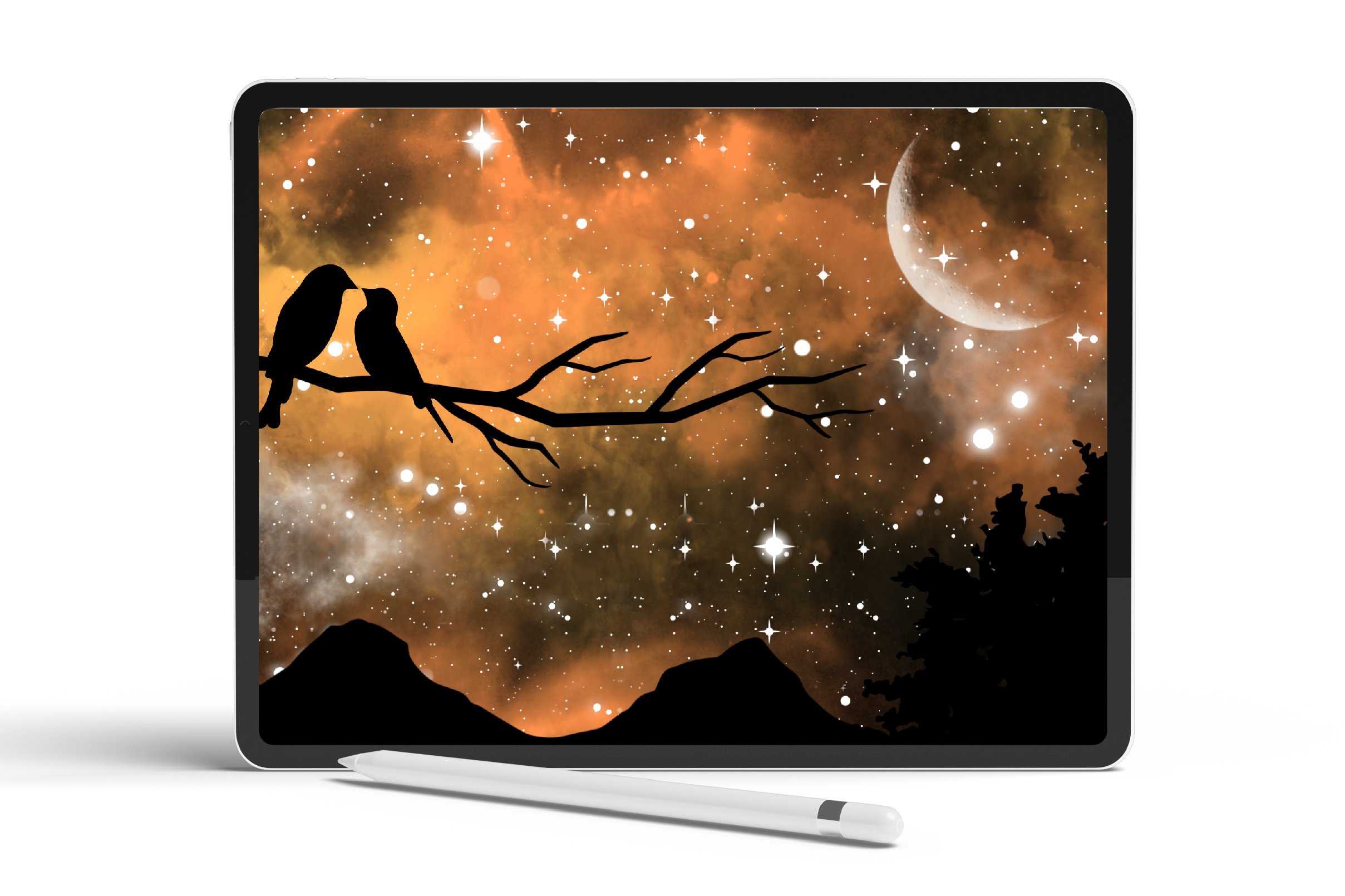 Galaxy Creator Kit for Procreate 5.jpg