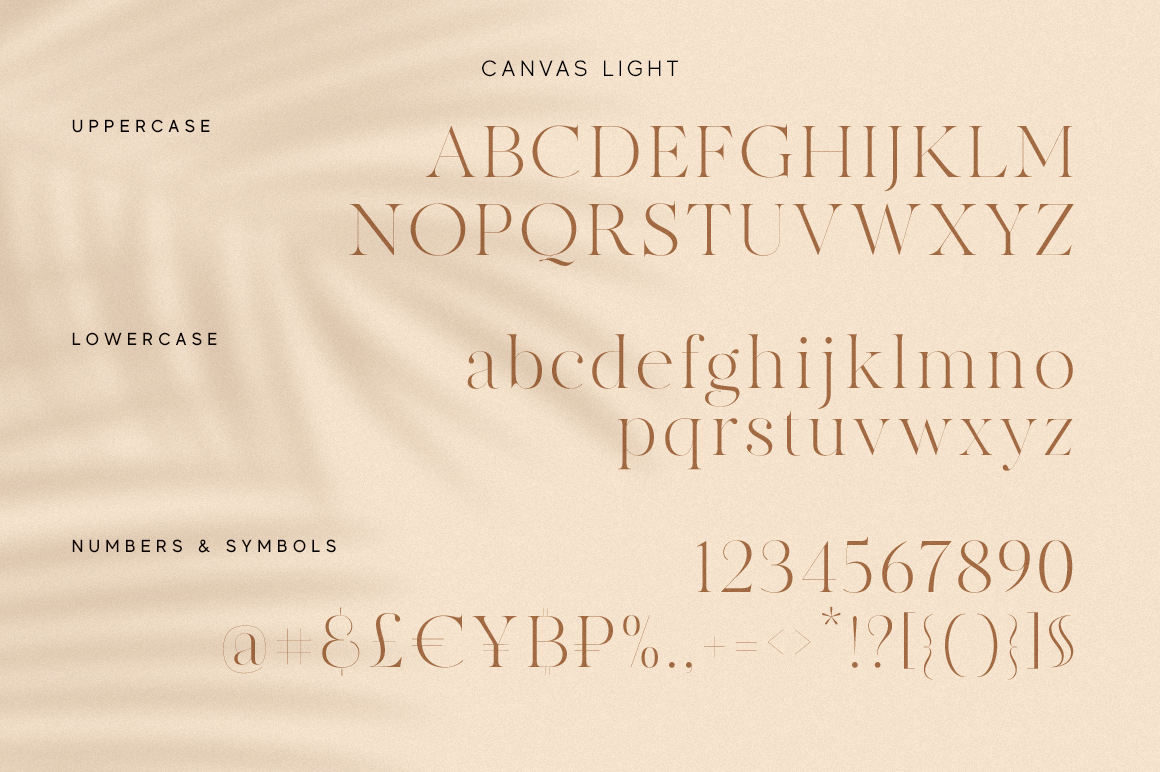 MADE Canvas, a Serif Font by MadeType Photo 4 of 1.jpg