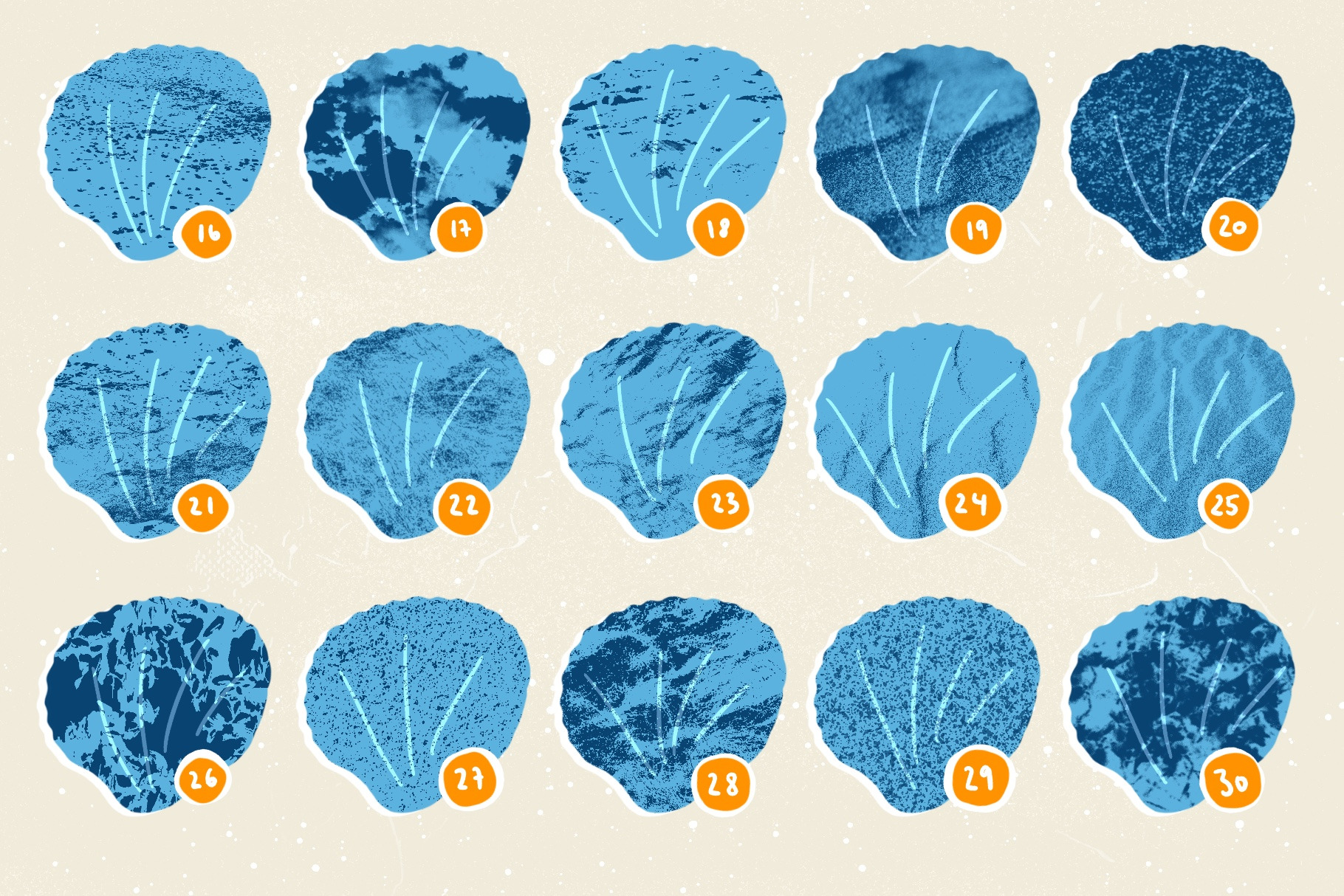 Seashell   Driftwood Set for Procreate  Creative M.jpg
