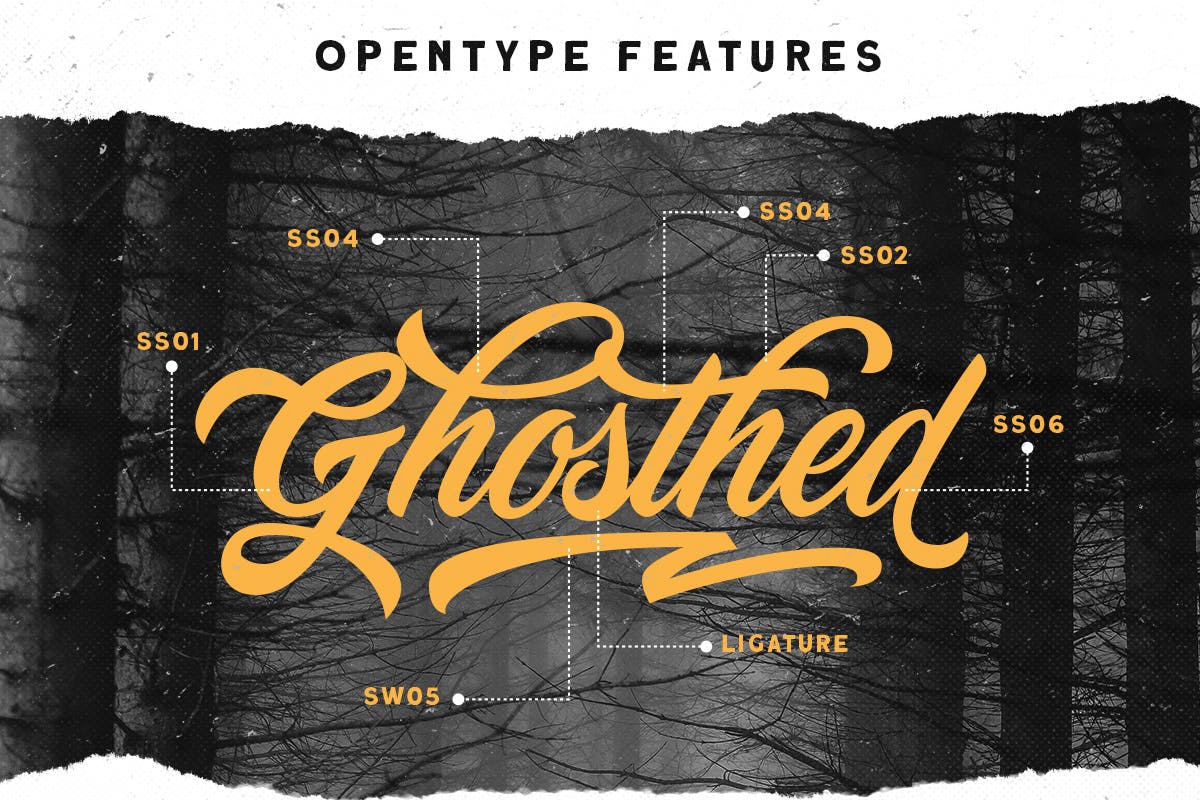 Devilion - Hand Lettering Script_6.jpg