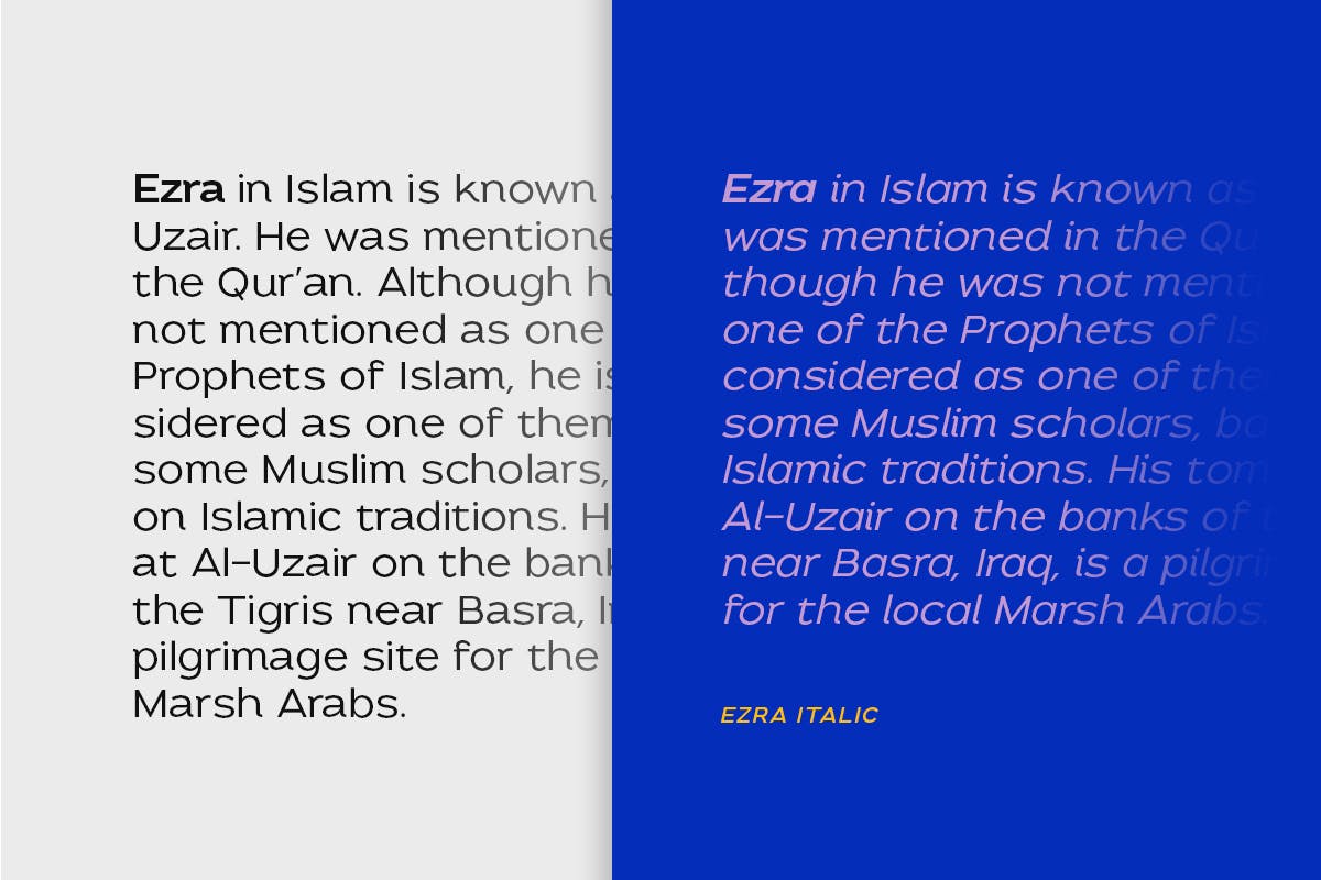 Ezra - Modern Sans_4.jpg