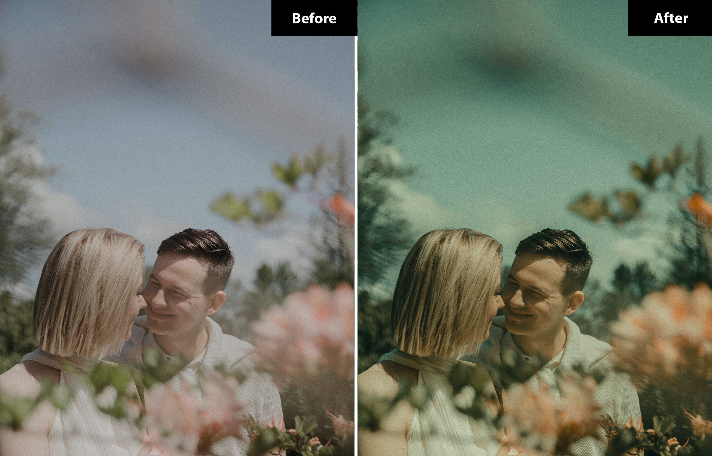 6 Farms gradient Lightroom and Photoshop Presets.jpg