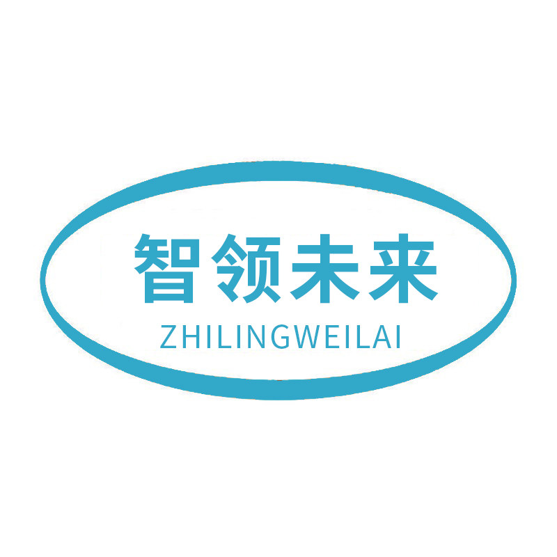 智领未来City