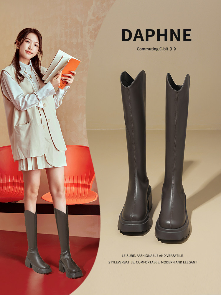 Daphne Short Thick-Soled Long Boots for Women, Fleece-Lined High-Heeled Long Boots, Spring 2025 New High-Top Popular Boots