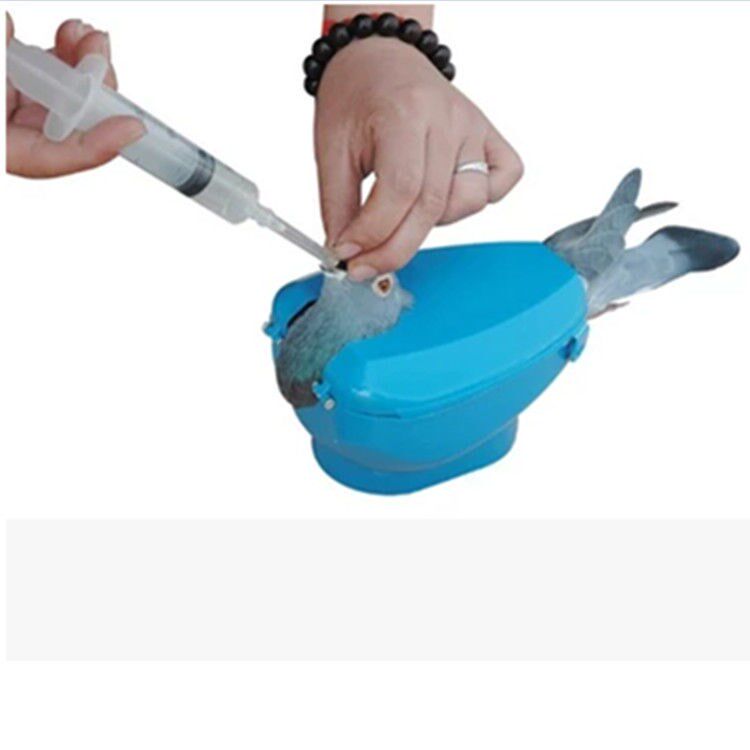 Pigeon-looking pigeon-eyed racing pigeon-feeding device Pigeon Young Pigeon Feeding Instrumental Bird Supplies Pigeon Utensils Clapping Eye