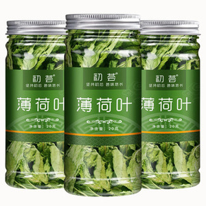 【罐装】薄荷叶茶新鲜干颗粒提神开胃