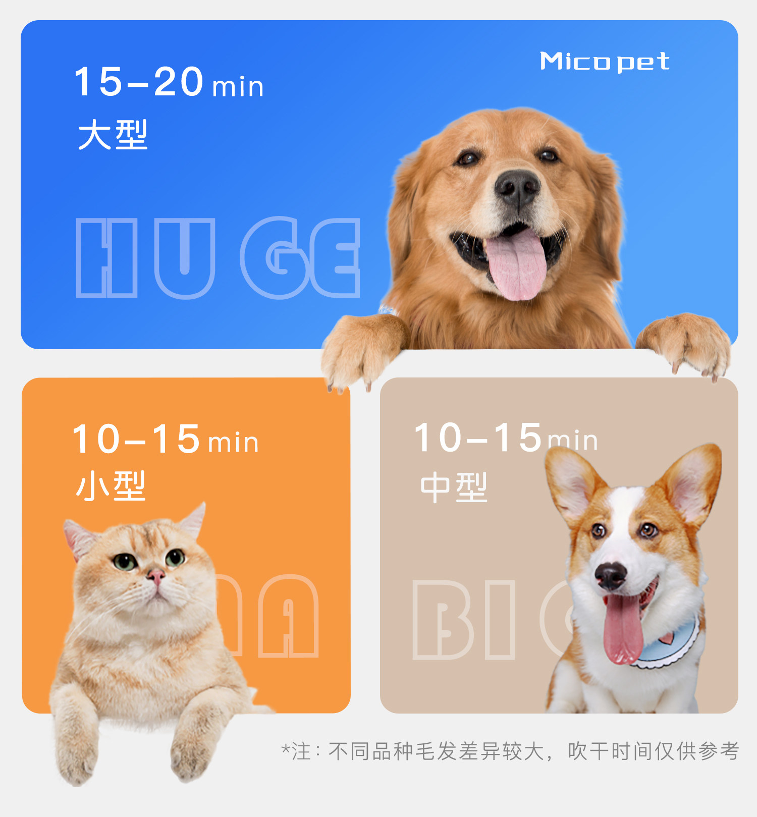 ПЭТ сушильный элемент micopet全自动宠物烘干机大中小猫咪狗洗澡吹风神器吹干箱吹水机